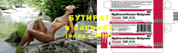 гашик Алексин