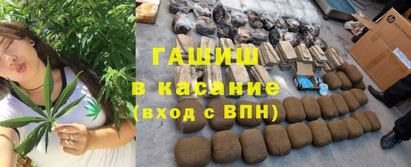 гашик Алексин