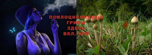 прущий лед Абинск